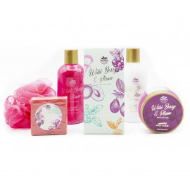 Dárkový koš pro ženy Revitalis Wild berry Plum 7v1