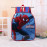 Dětský školní set Spiderman 3v1