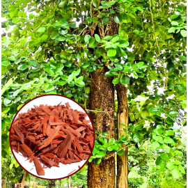 Luxusní dárkový koš pro ženy Gold relax 6v1