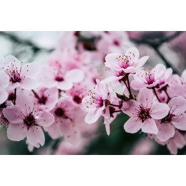 Dárkový koš pro ženy Bath Relaxation PINK 5v1