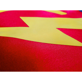 Dětský karnevalový převlek Avengers Flash 2v1